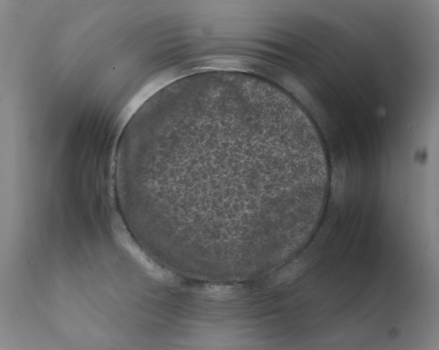 X0000112211378200909041330