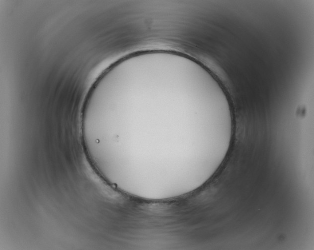 X0000112211380200909041330