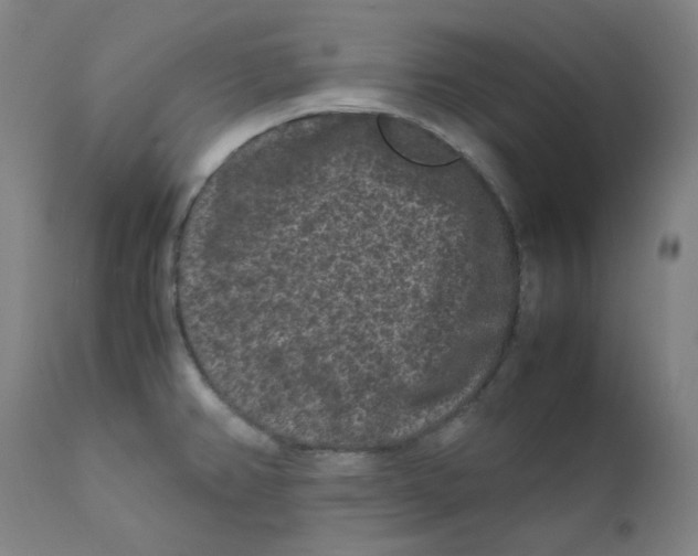 X0000112211382200909041330