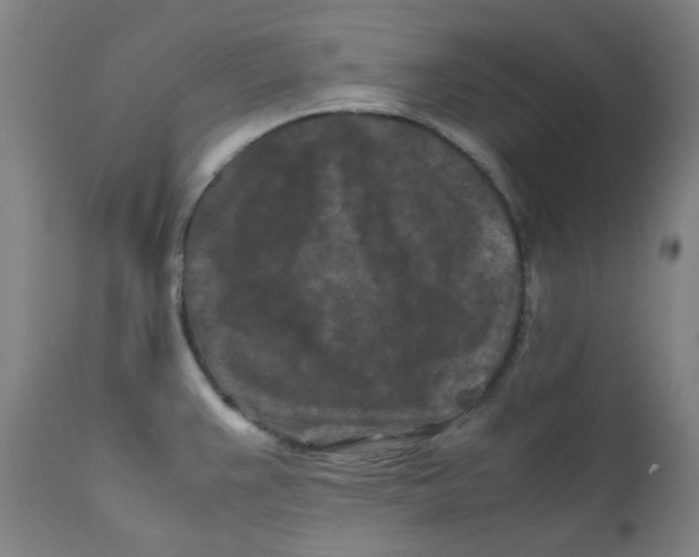 X0000112211383200909041330