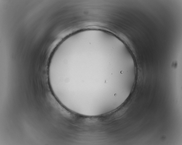 X0000112211384200909041330