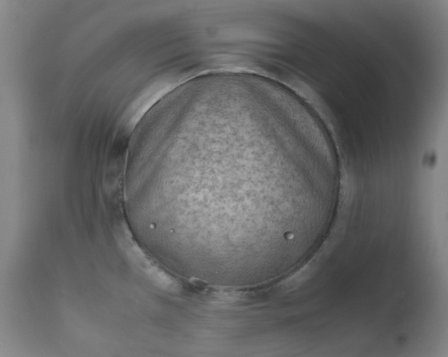 X0000112211385200909041330