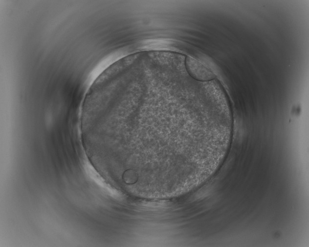 X0000112211386200909041330