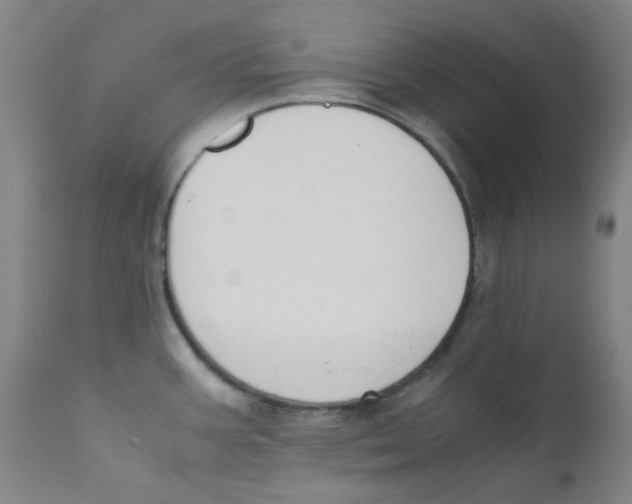 X0000112211387200909041330