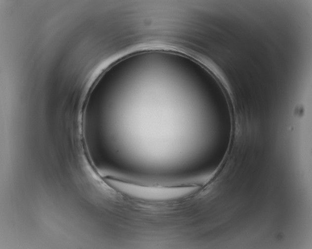 X0000112211388200909041330