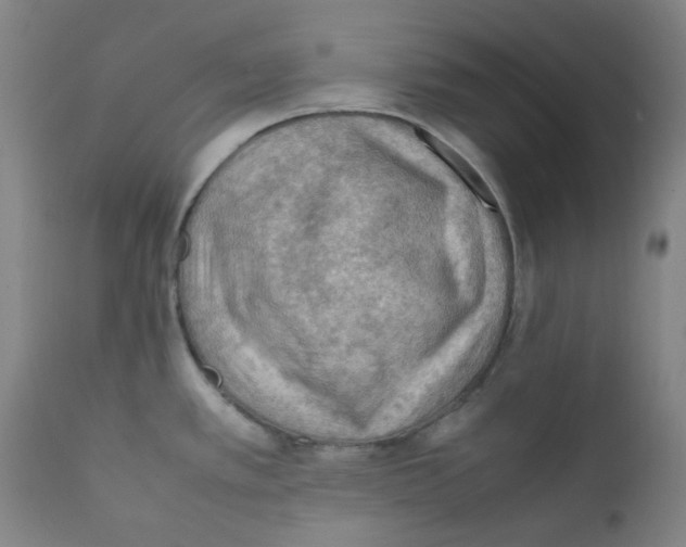 X0000112211389200909041330