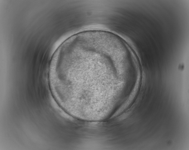 X0000112211390200909041330