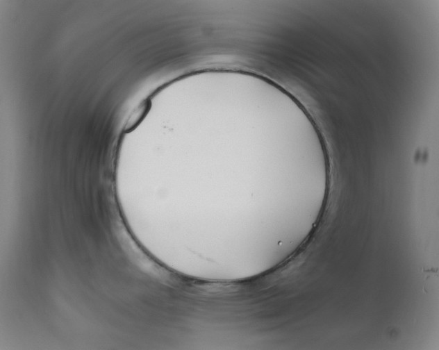 X0000112211392200909041330