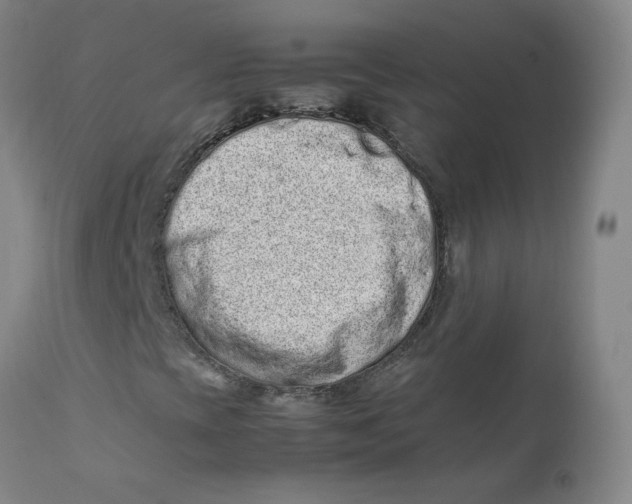X0000112211393200909041329