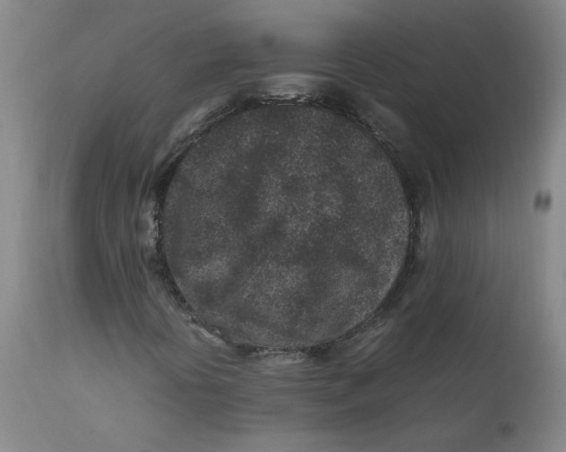 X0000112211394200909041329