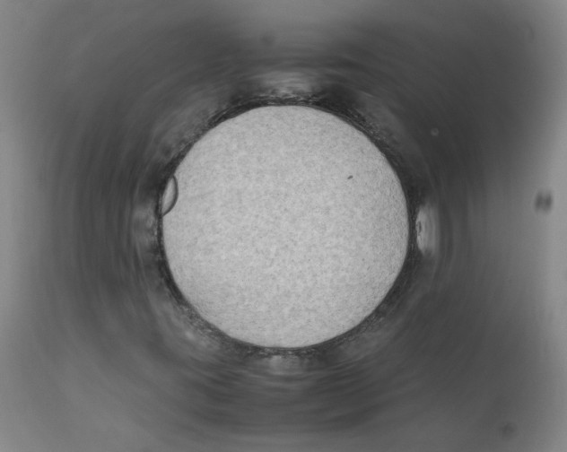 X0000112211395200909041329
