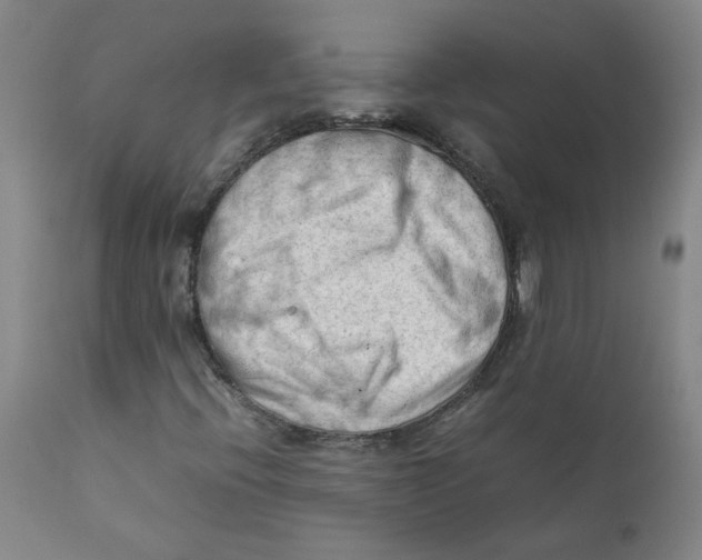 X0000112211396200909041330
