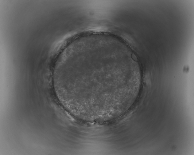 X0000112211398200909041330
