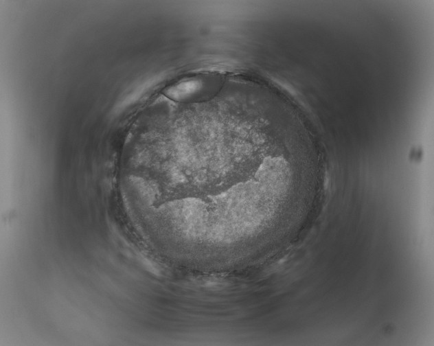 X0000112211399200909041330