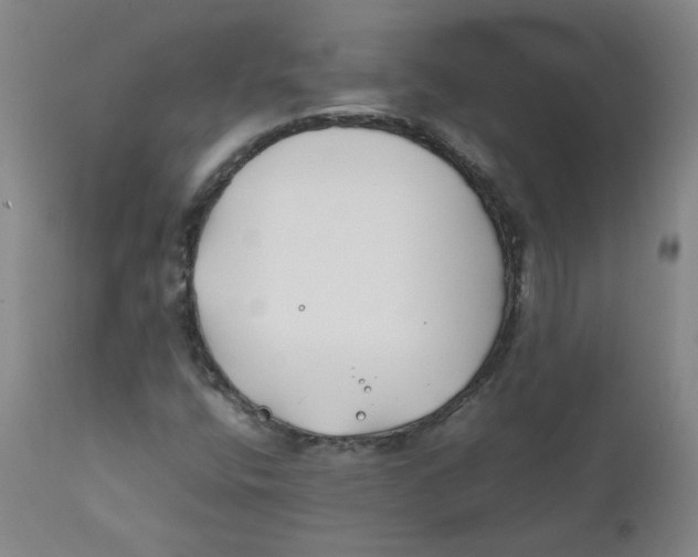 X0000112211400200909041330