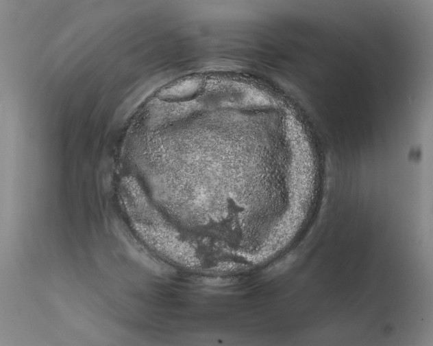 X0000112211401200909041330