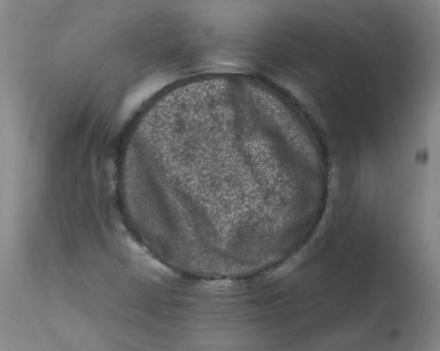 X0000112211402200909041330