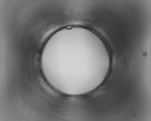 X0000112211404200909041330