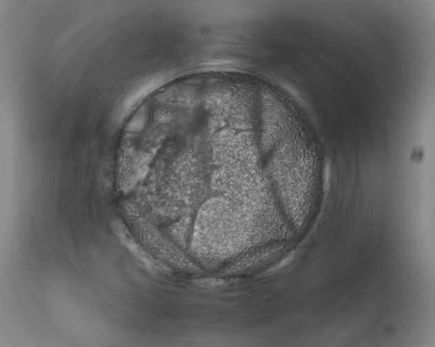 X0000112211405200909041330