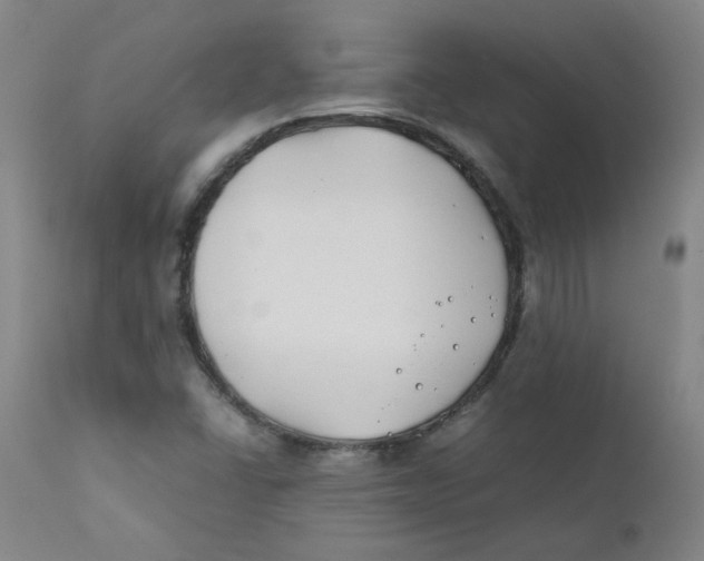 X0000112211406200909041330