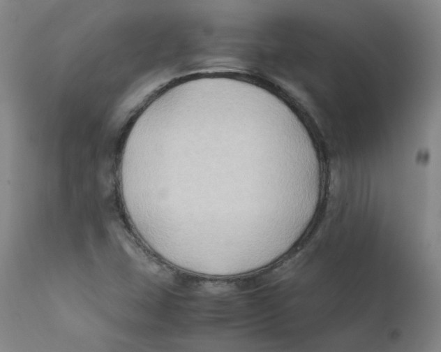 X0000112211407200909041330