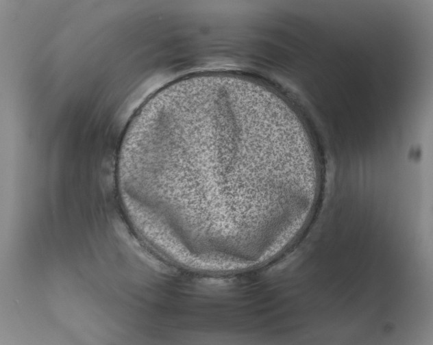 X0000112211409200909041330