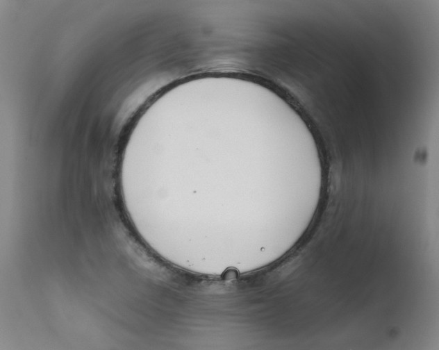 X0000112211410200909041330