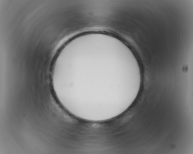 X0000112211412200909041330