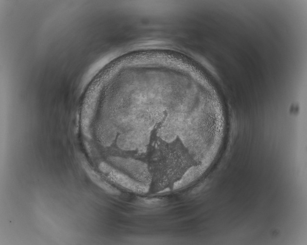 X0000112211413200909041330