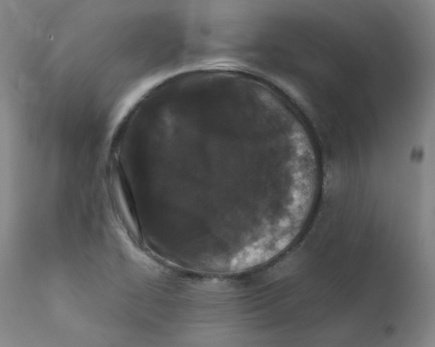 X0000112211414200909041330