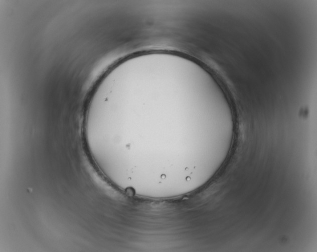 X0000112211416200909041330