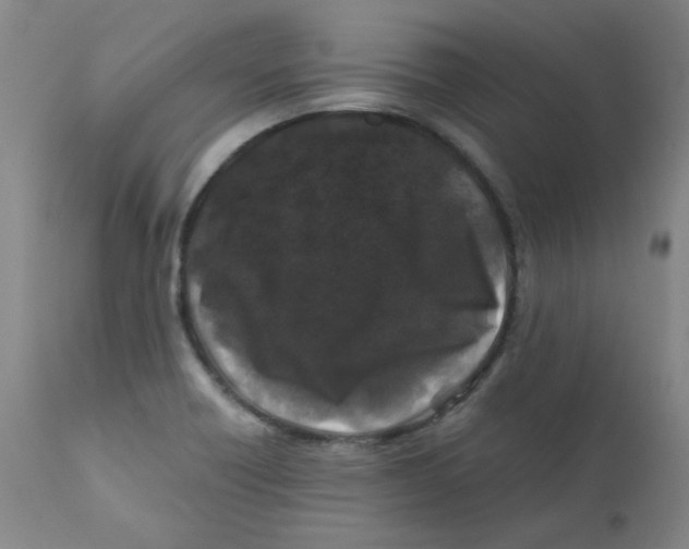 X0000112211418200909041330