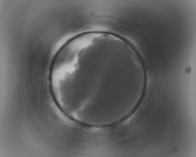 X0000112211422200909041330