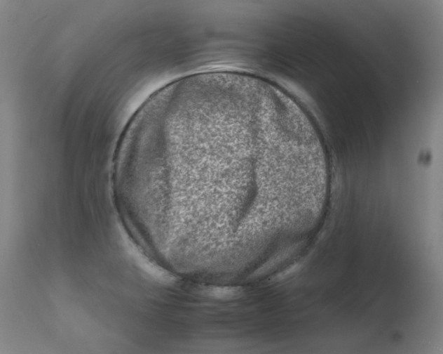 X0000112211423200909041330