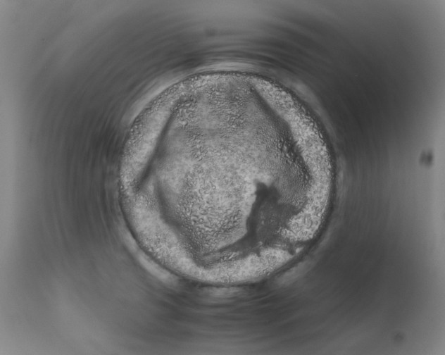 X0000112211425200909041330