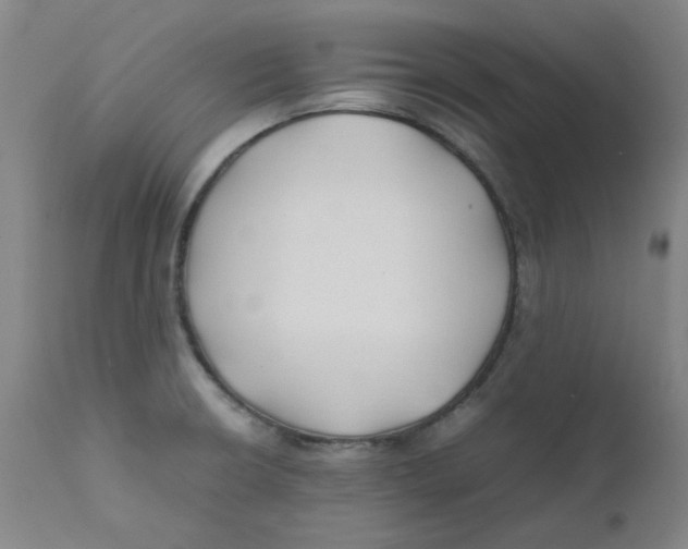 X0000112211426200909041330