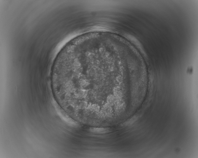 X0000112211427200909041330