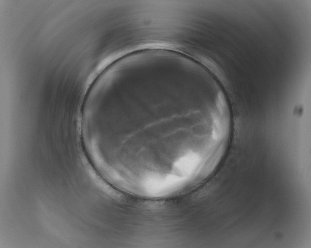 X0000112211428200909041330
