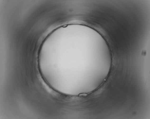 X0000112211430200909041330