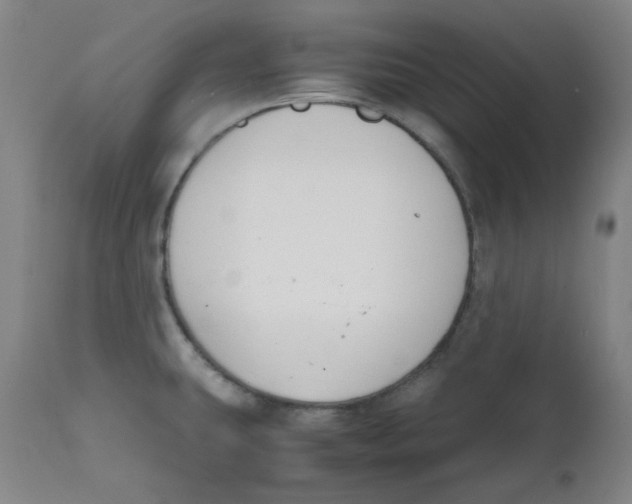 X0000112211431200909041330