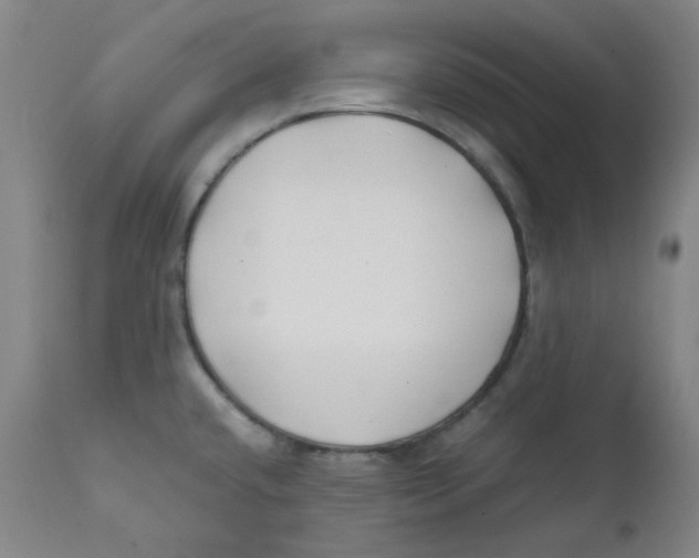 X0000112211432200909041330