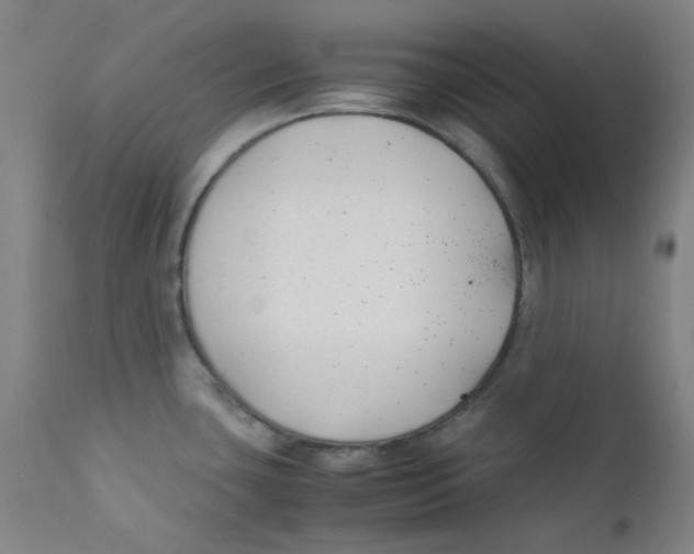X0000112211435200909041330