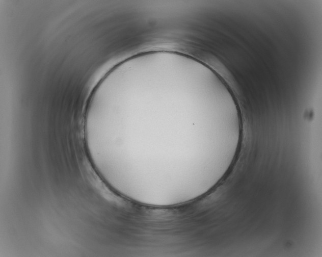 X0000112211436200909041330