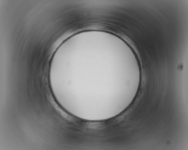 X0000112211437200909041330