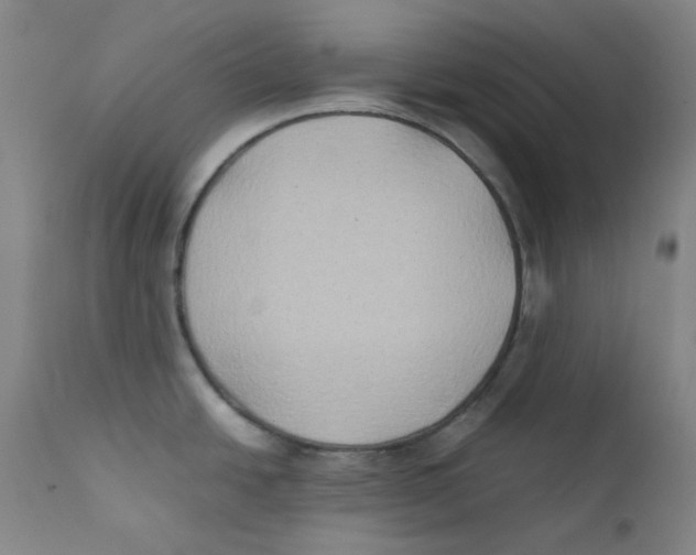 X0000112211438200909041330