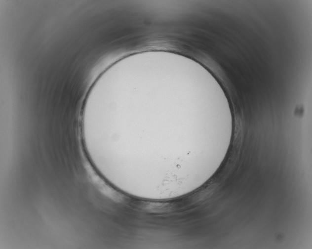 X0000112211439200909041330