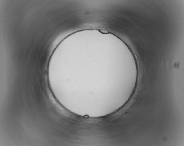 X0000112211440200909041330