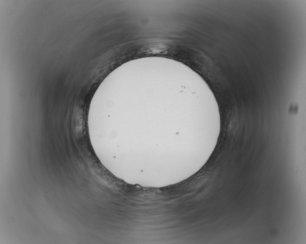 X0000112211442200909041329