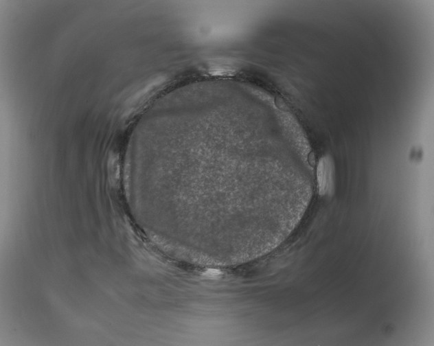 X0000112211443200909041329