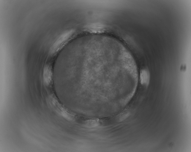 X0000112211444200909041329